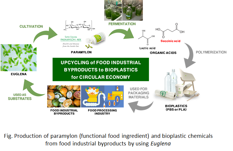 Microalgal production of functional ingredients and bioplastic materials
