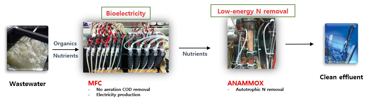 Carbon-neutral wastewater treatmentCarbon-neutral wastewater treatment