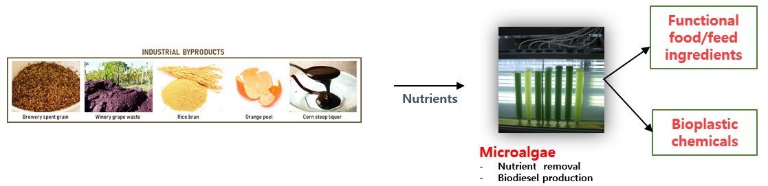 Microalgal based refinery for circular economy society